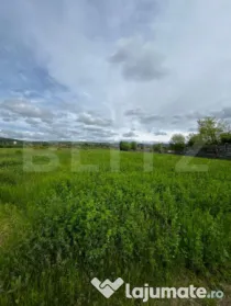 ????Teren extravilan 2.800 mp în Livezile