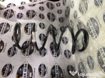 Arc spate Renault Scenic