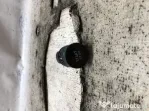 Buton start-stop Renault Captur 0.9 Benzina 2018