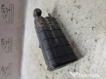 Canistra carbon Dacia Duster - Benzina 2019