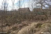 Valea Ursului - DN 7, Teren Stradal 2744 mp 