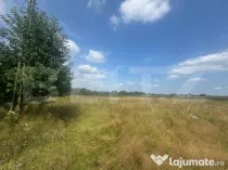 Teren intravilan, 5.041 mp, Horodnic de Jos