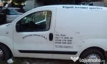 Taieri pomi fructiferi.