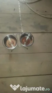 Farfurii pt. animale 