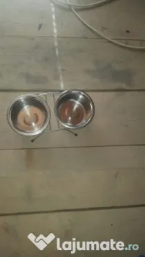 Farfurii pt. animale