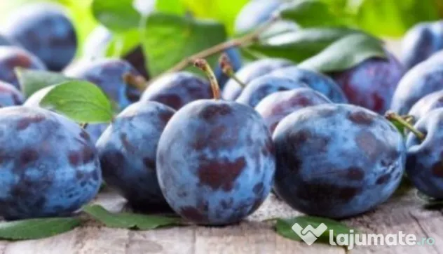 Tuica Palinca din prune 100% natural bio din livezile proprii