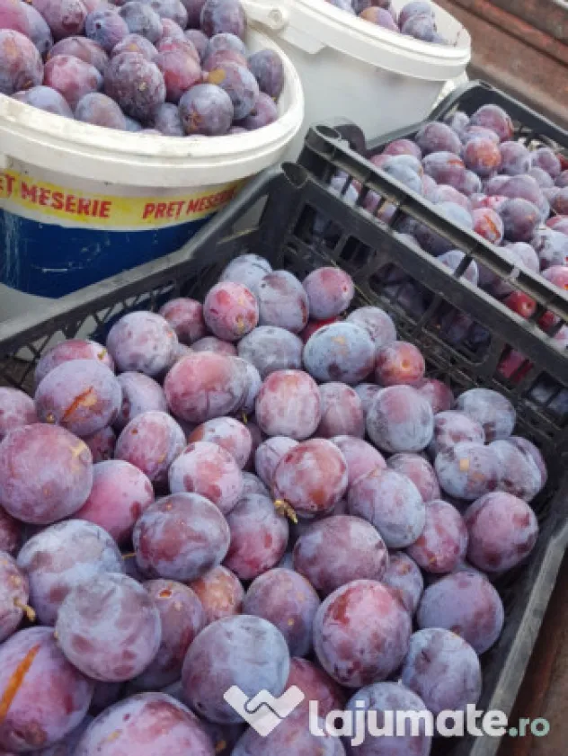 Tuica Palinca din prune 100% natural bio din livezile proprii
