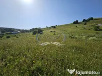 Teren construibil in proximitatea pensiunii ”La Mesteceni?