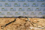 Conducta conducte AC clima a2128305915 Mercedes-Benz E-Class