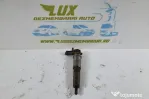 Injector 3.0 d v9x H82868770 0445116033 Nissan Navara D40 (f