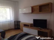 Apartament cu doua camere Bucovina 