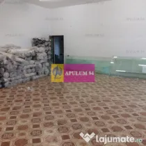 Vila zona Fundeni-Dobroiesti