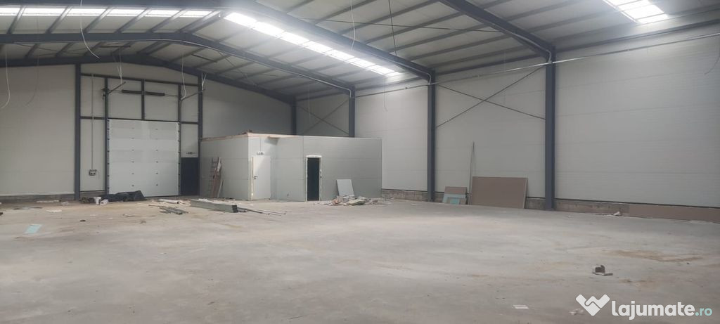 2 hale noi 2025 Afumati- Moara Domneasca - Moara Domneasca (Bucuresti-Ilfov)