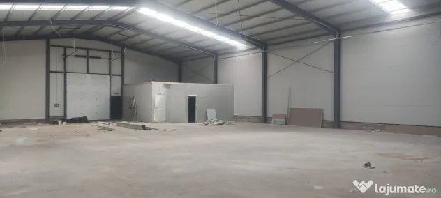 2 hale noi 2025 Afumati- Moara Domneasca - Moara Domneasca (Bucuresti-Ilfov)