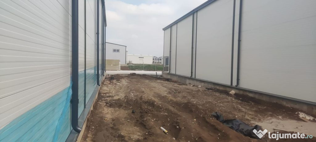 2 hale noi 2025 Afumati- Moara Domneasca - Moara Domneasca (Bucuresti-Ilfov)
