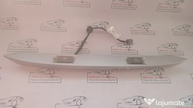 Ornament haion Ford Ecosport 2015