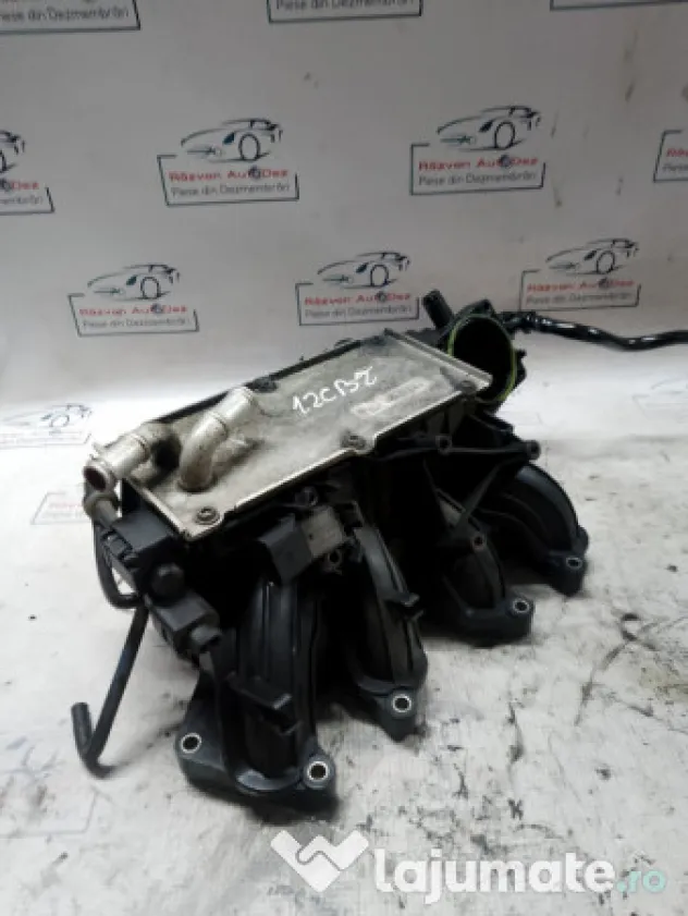 Galerie Admisie Plastic Skoda RAPID 1.2 Benzina 2015
