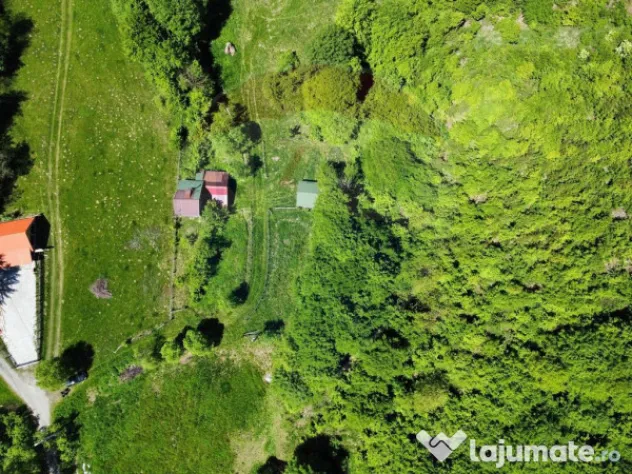 Comision 0%! Proprietate in natura, priveliste superba, S...