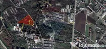 Teren 19,470 mp Comuna 1 Decembrie Ilfov