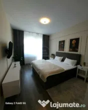 Apartament 2 camere mobilat si utilat,zona Teilor 