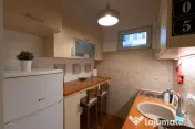 Garsoniera de inchiriat in zona Basarab 