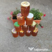 Miere rapiță polifora 
