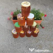 Miere rapiță polifora