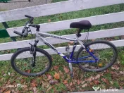 Bicicleta bulls roti 26 