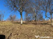 Casa gospodarului, bine întreținută, cu teren generos – Comarnic 