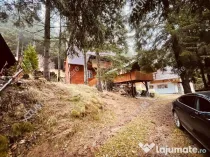 Casa de vacanta/Cabana cu 8 camere de in Paltinis