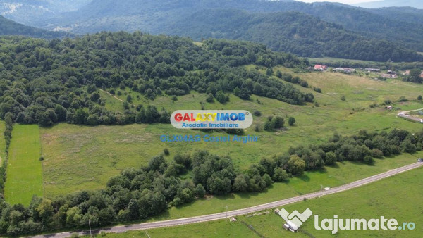 Vindem teren 20000 mp Cheile Rasnoavei - Brasov , pentru cas