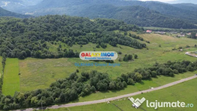 Vindem teren 20000 mp Cheile Rasnoavei - Brasov , pentru cas