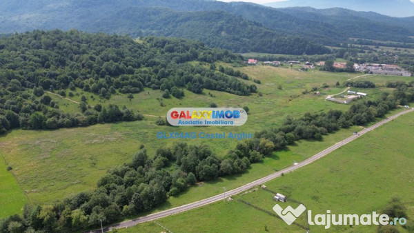 Vindem teren 20000 mp Cheile Rasnoavei - Brasov , pentru cas