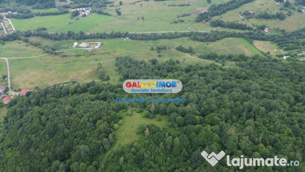 Vindem teren 20000 mp Cheile Rasnoavei - Brasov , pentru cas