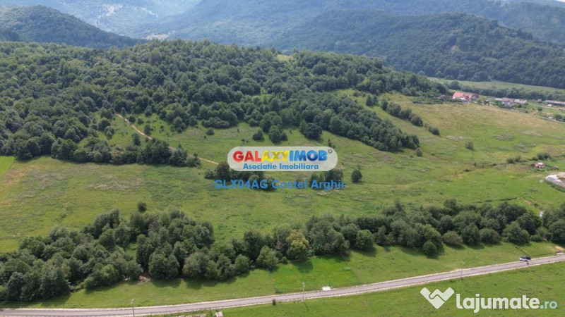 Vindem teren 20000 mp Cheile Rasnoavei - Brasov , pentru cas