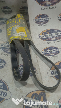 Curea transmisie cu caneluri Renault Clio