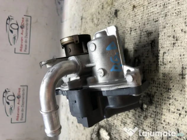EGR Volkswagen Tiguan 1.6 2019