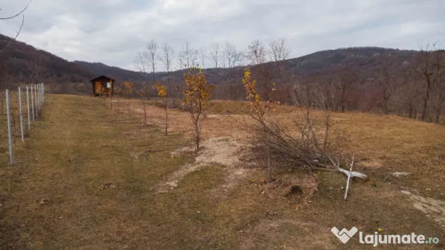 Teren cu suprafața de 5100mp amplasat într-o zonă superbă de munte