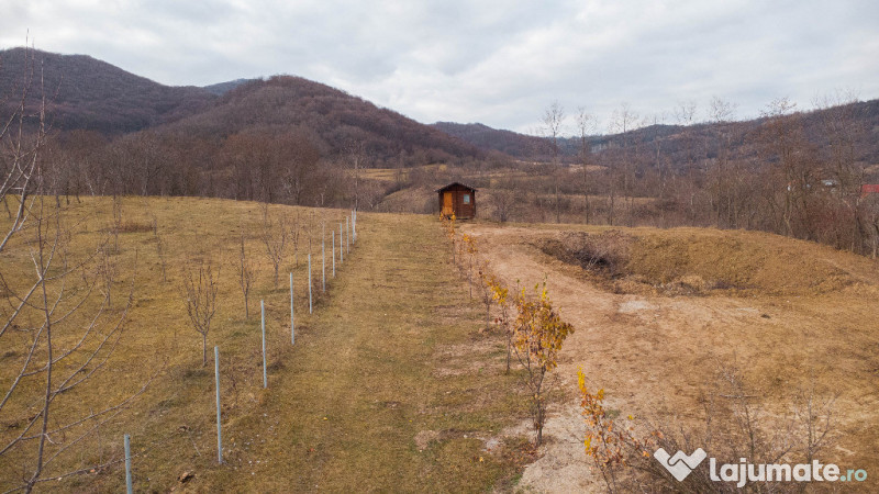 Teren cu suprafața de 5100mp amplasat într-o zonă superbă de munte