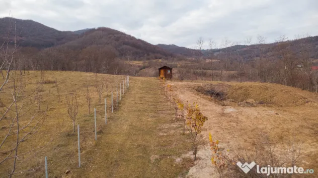 Teren cu suprafața de 5100mp amplasat într-o zonă superbă de munte