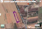 Teren 1500 mp - Comuna 1 Decembrie - Ilfov