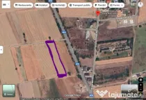Teren 1500 mp - Comuna 1 Decembrie - Ilfov