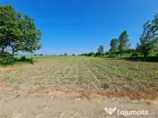 Teren 1500 mp - Comuna 1 Decembrie - Ilfov 