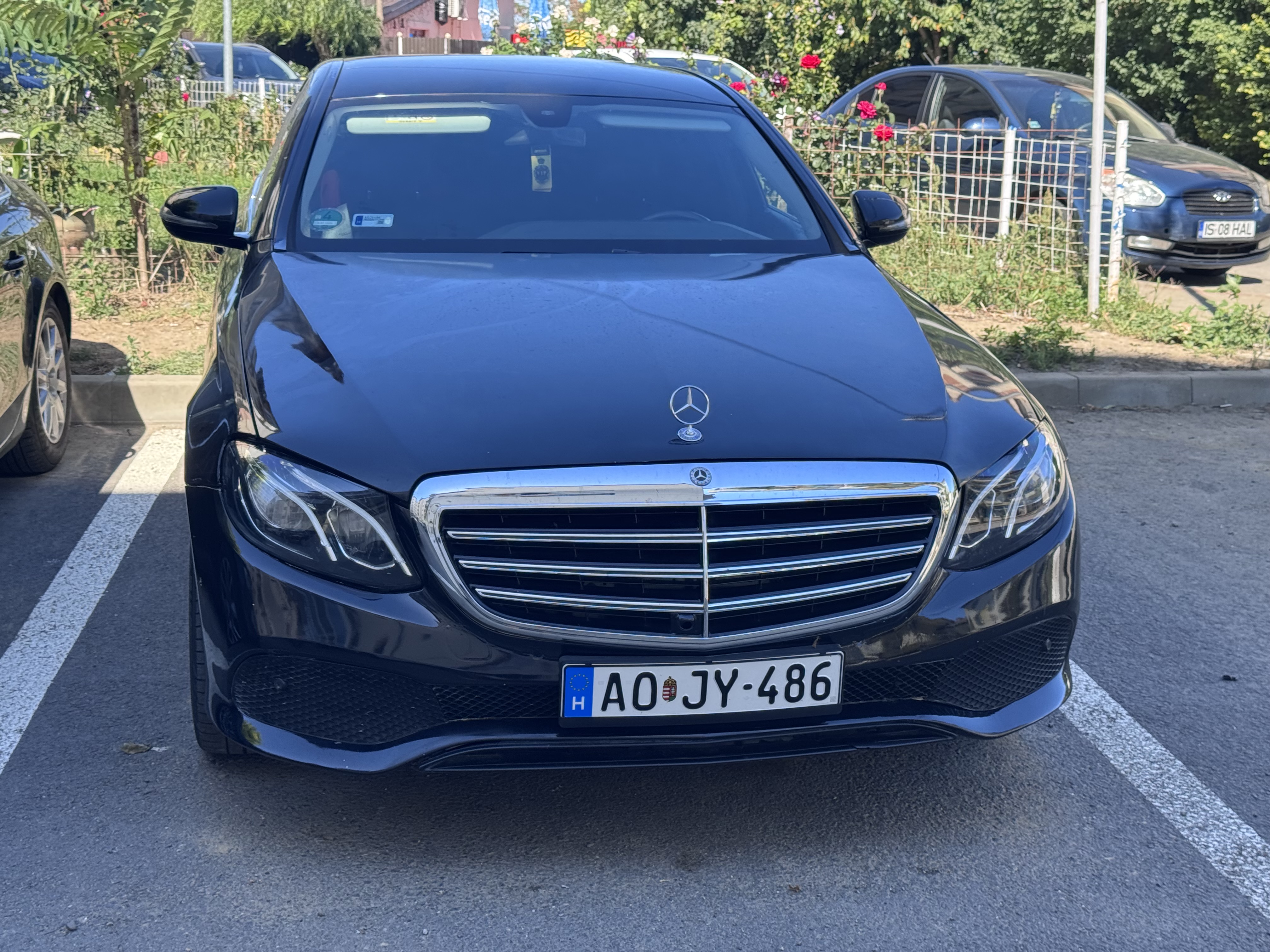 profile-icon