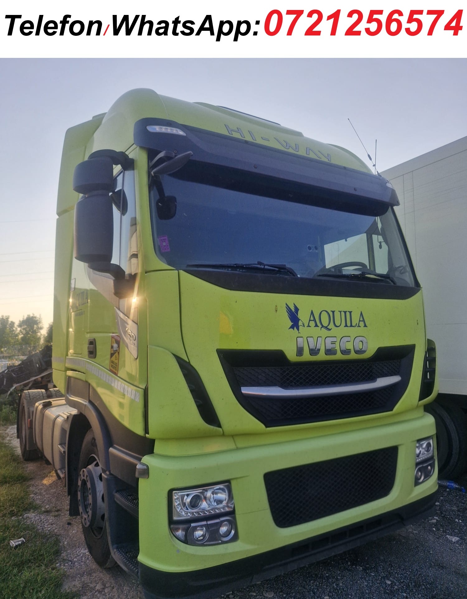 profile-icon