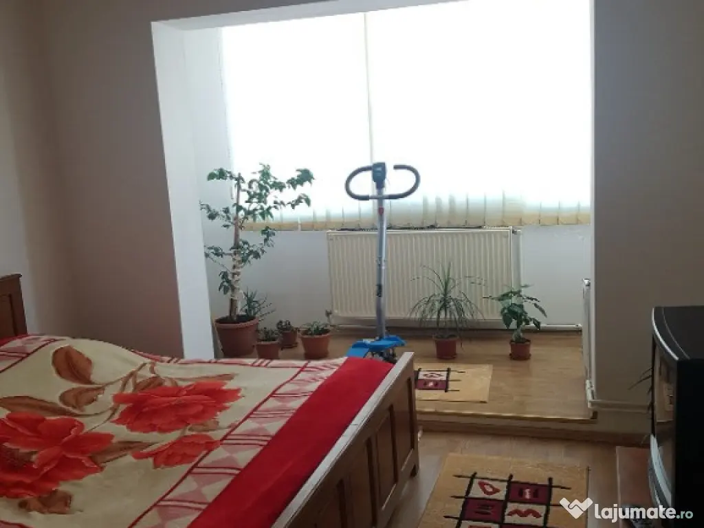 Hortensiei, 3 camere, decom. 