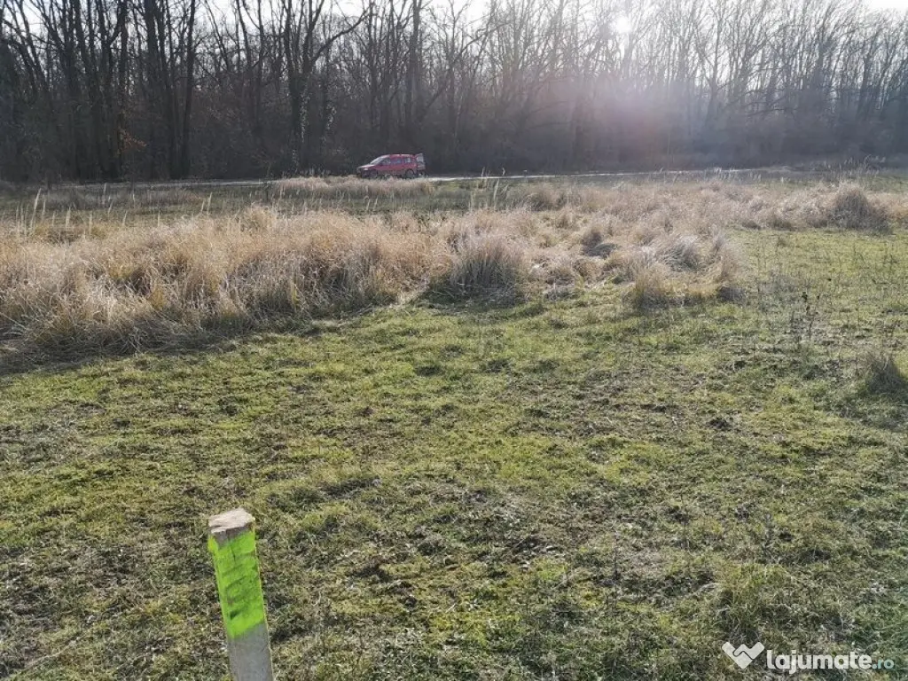 Teren Sisesti 1000 Mp Drumul Stegarului New 2026