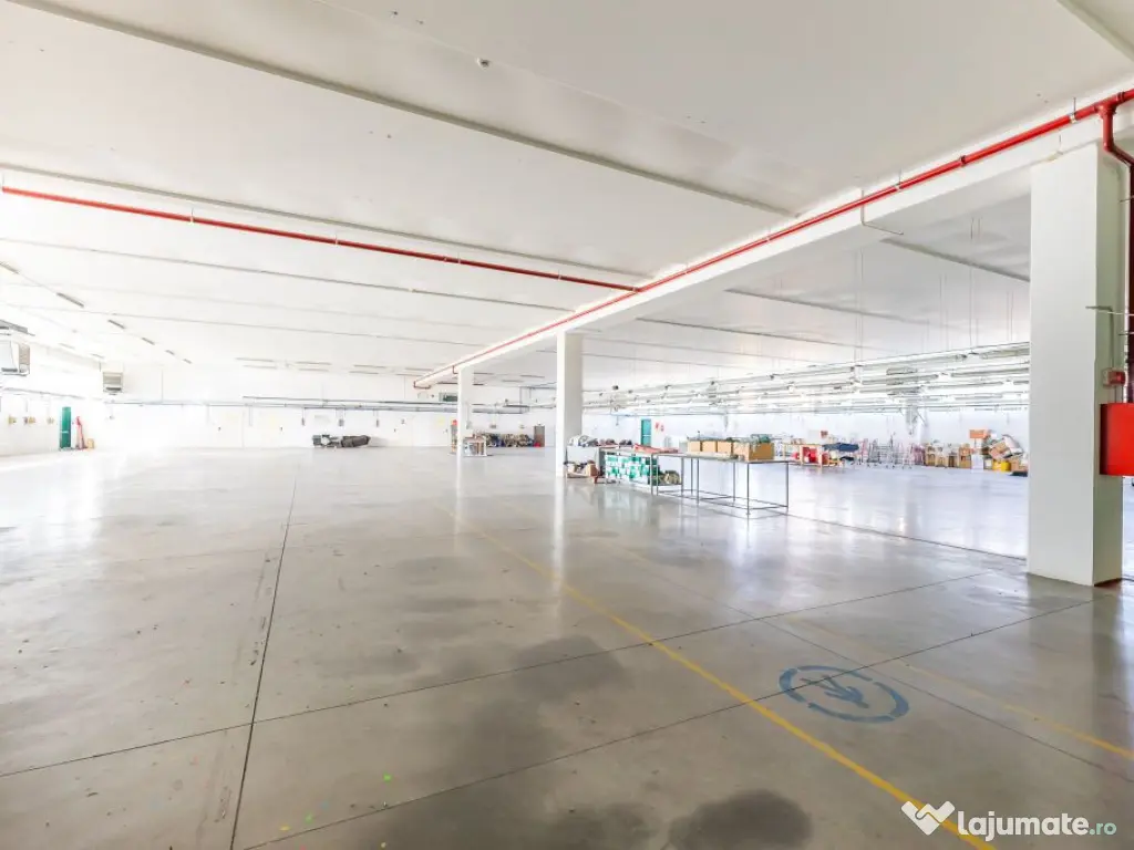 Hală producție în localitatea Sântana Comision 0% la ...