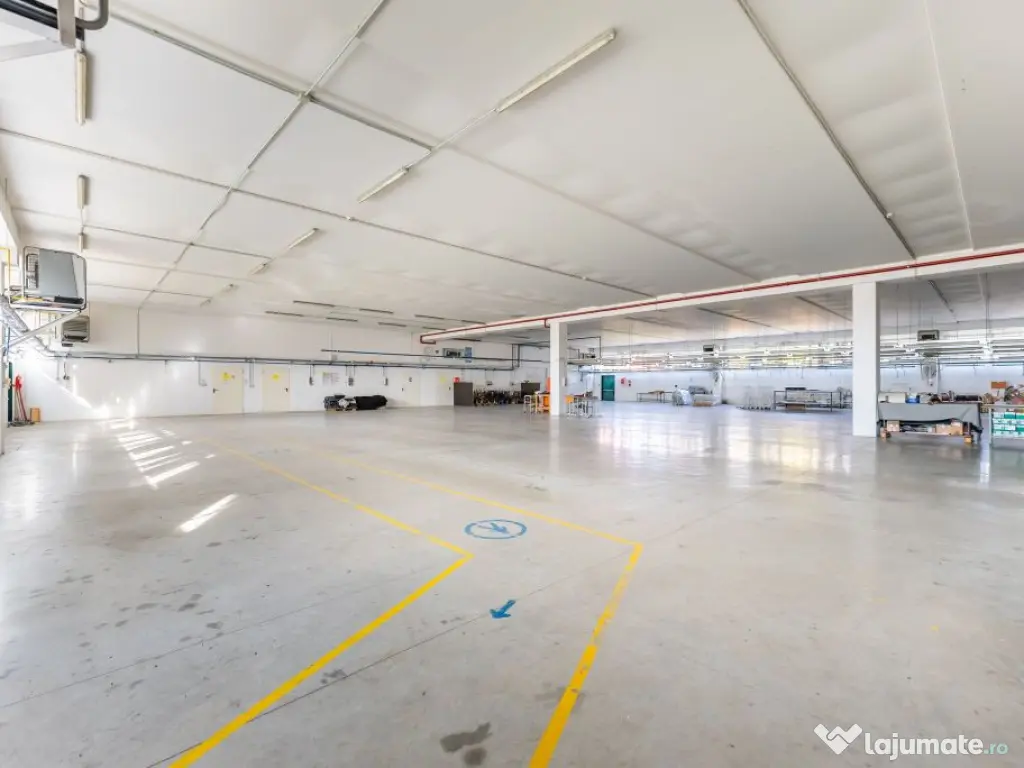 Hală producție în localitatea Sântana Comision 0% la ...