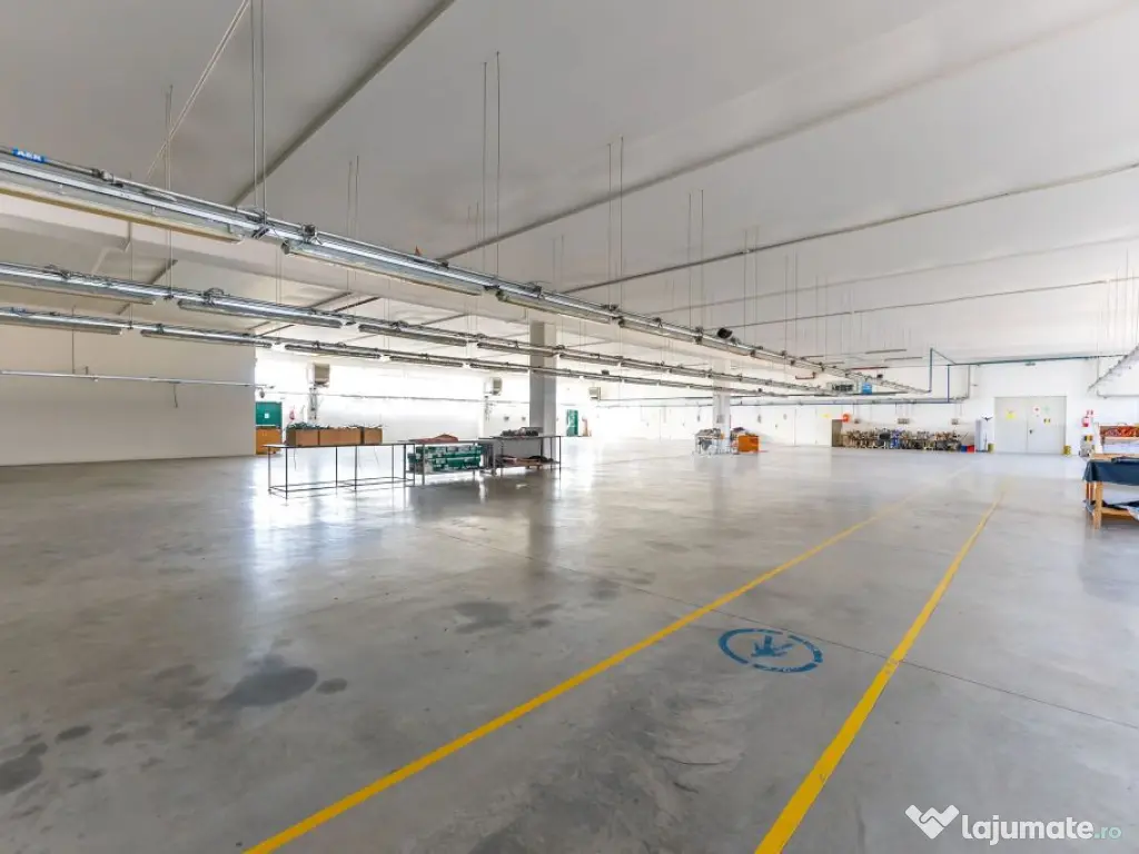 Hală producție în localitatea Sântana Comision 0% la ...